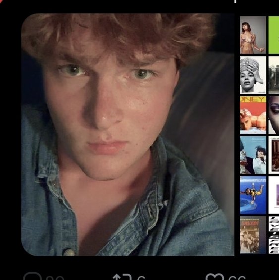 scarlet knowles ☆ tweet media