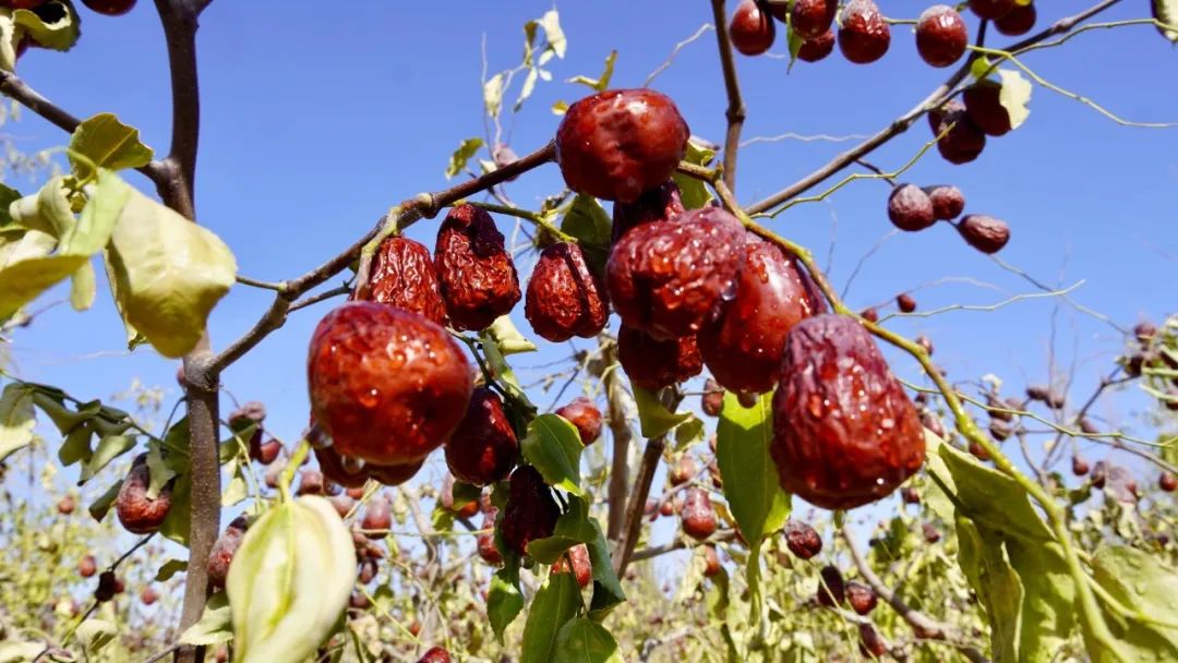 raguveangan tweet media