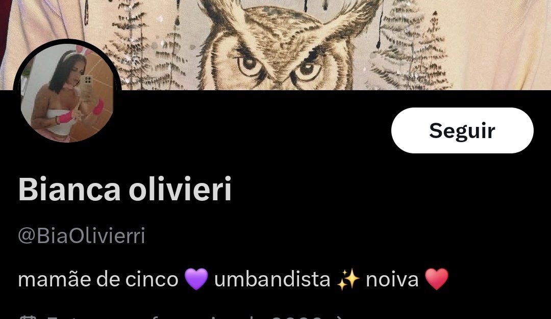 Roubei um ganso da Praça Paris da Silva tweet media