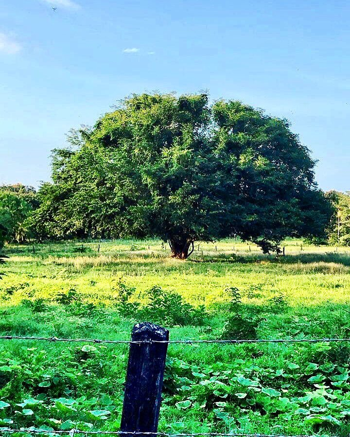 DeepSageApp's tweet photo. No hay nada mejor que desconectarse un rato de la rutina... #MaravillasNaturales   Foto de

@CesarSerpa https://t.co/9fMu81jkcP