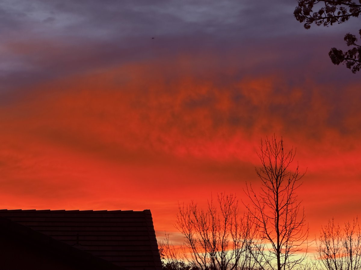 Andrew MacKay tweet media