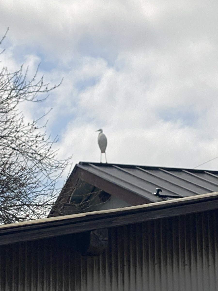 れいやん@10/11 えちごくびき野100kmマラソン tweet media