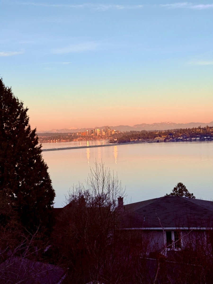 6stringsongster tweet media