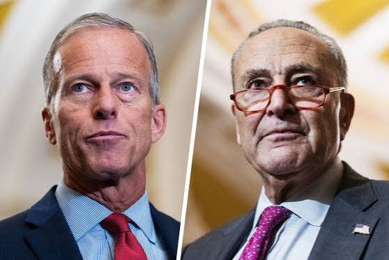 Gunther Eagleman™ tweet media