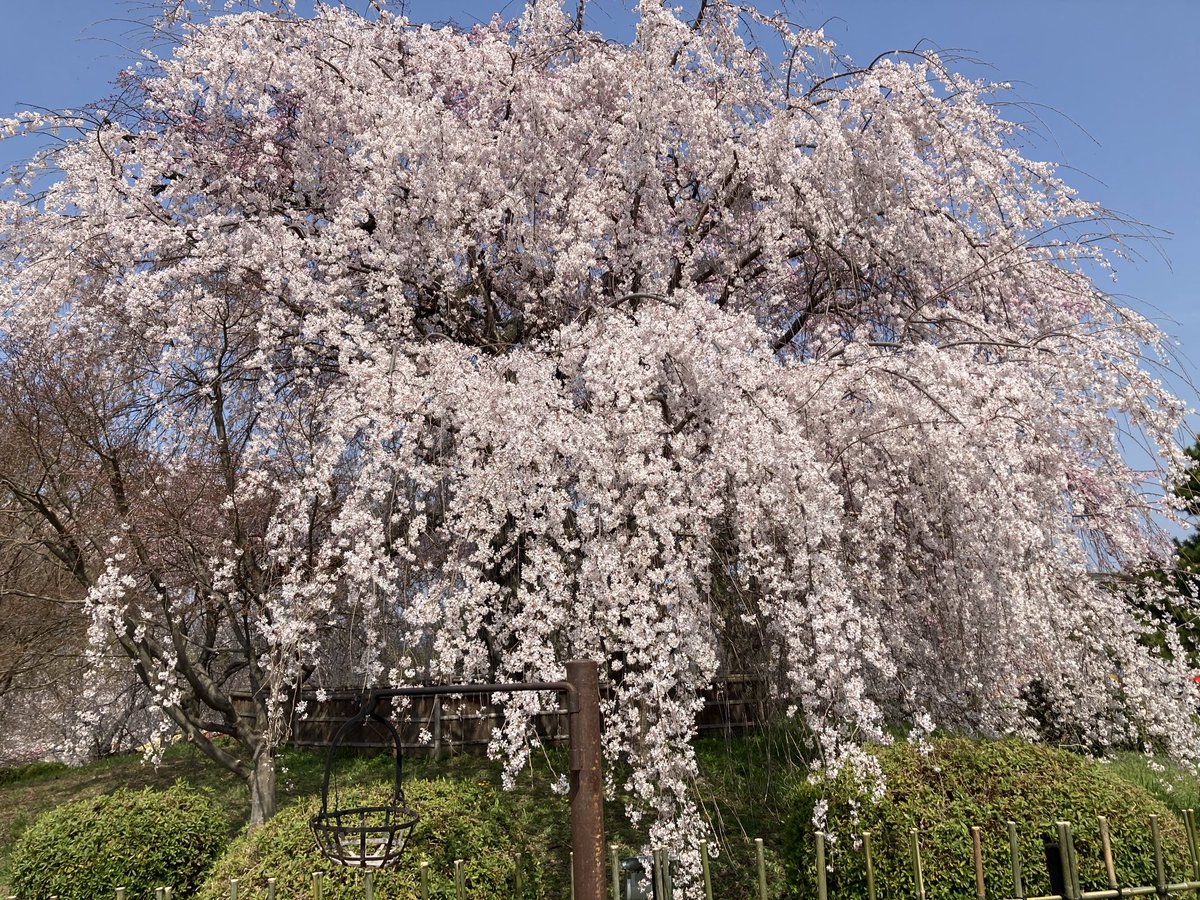 ふぁんた🏠🌾💜 tweet media