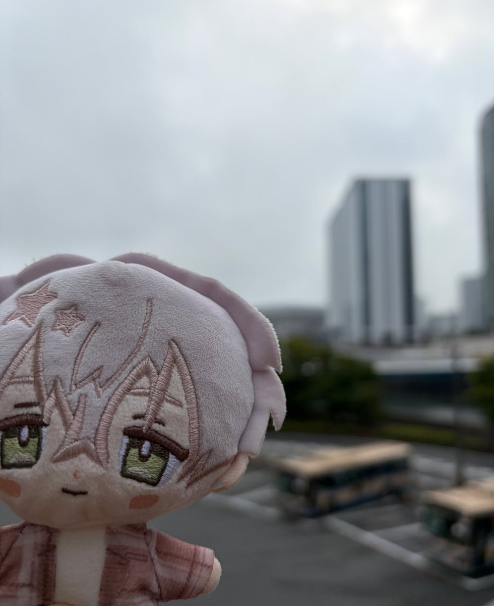 ﾃﾘﾃﾘ tweet media