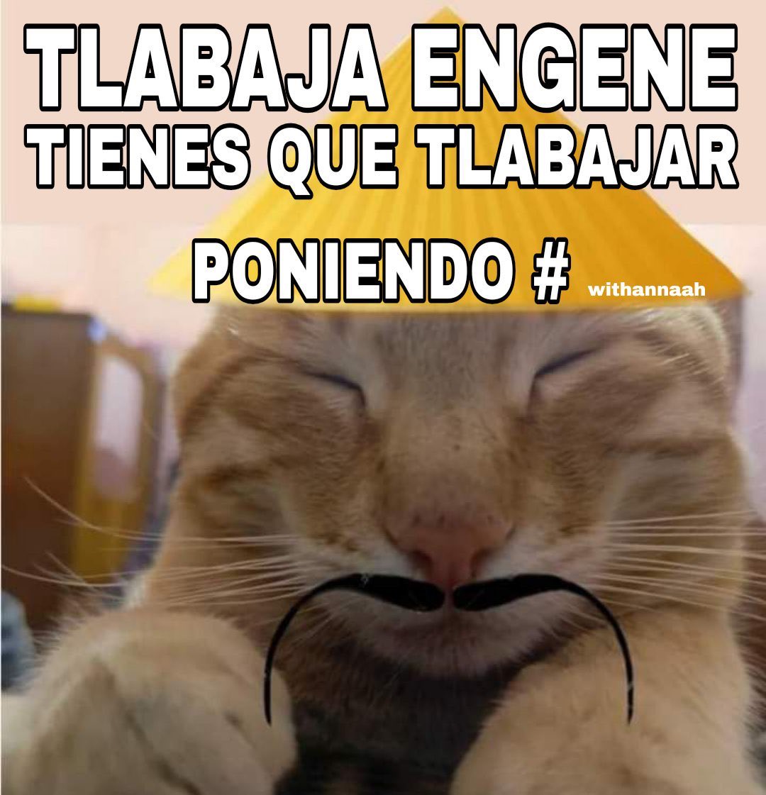 🎞️ Pan | Enhypen Is 7 tweet media