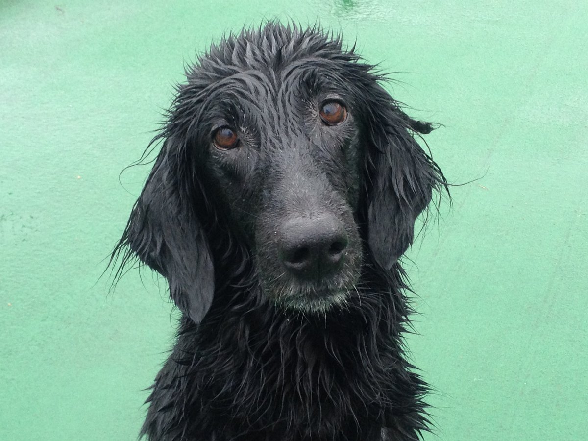 ゆみん＠2拠点生活 tweet media