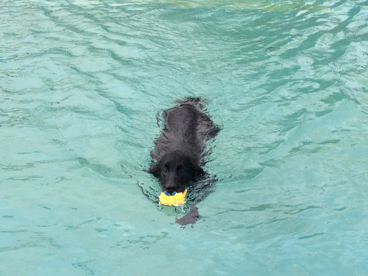 ゆみん＠2拠点生活 tweet media