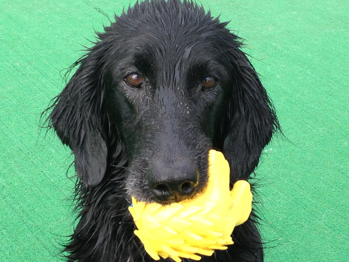 ゆみん＠2拠点生活 tweet media