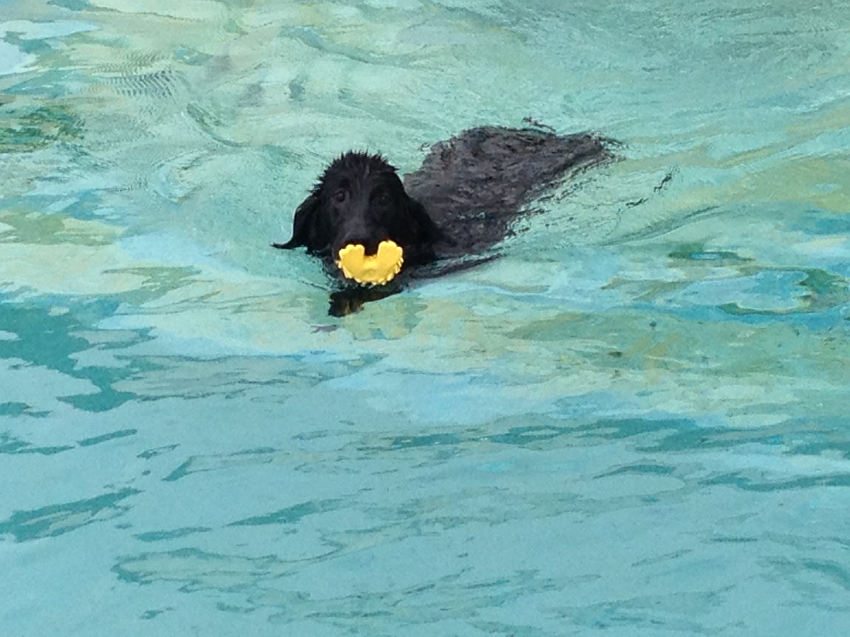 ゆみん＠2拠点生活 tweet media