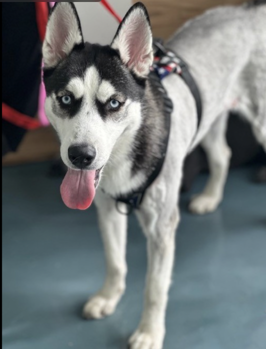 Tootsismyname🏴☠️ tweet media