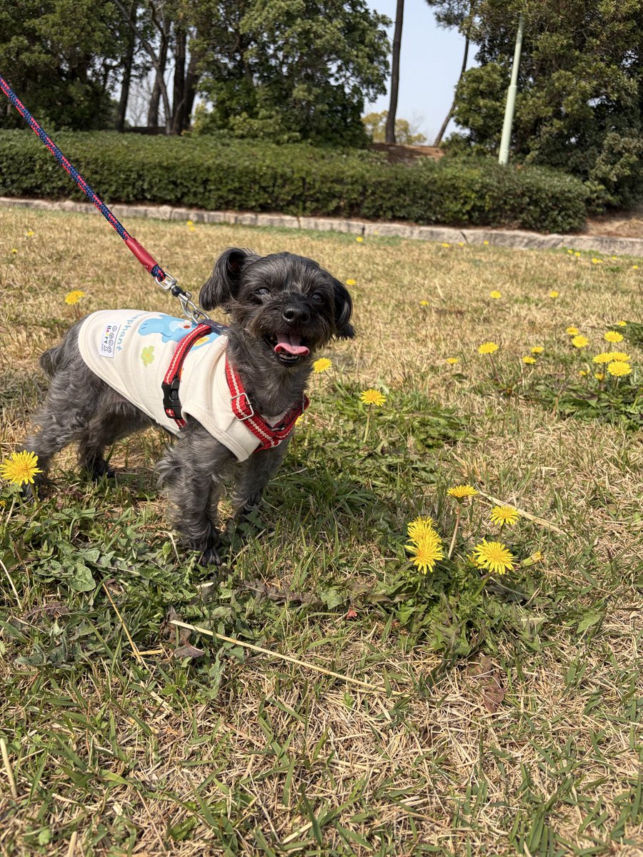 あもママ（ひろたん） tweet media