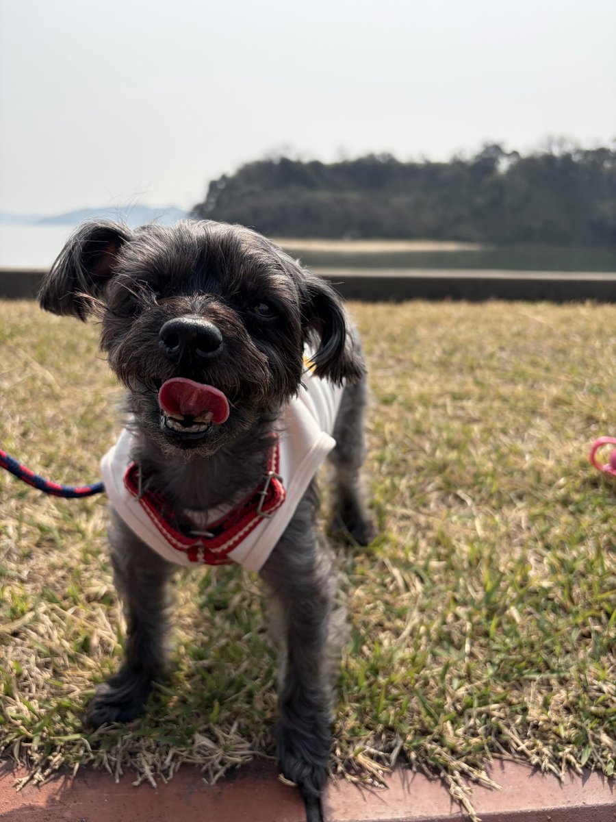 あもママ（ひろたん） tweet media