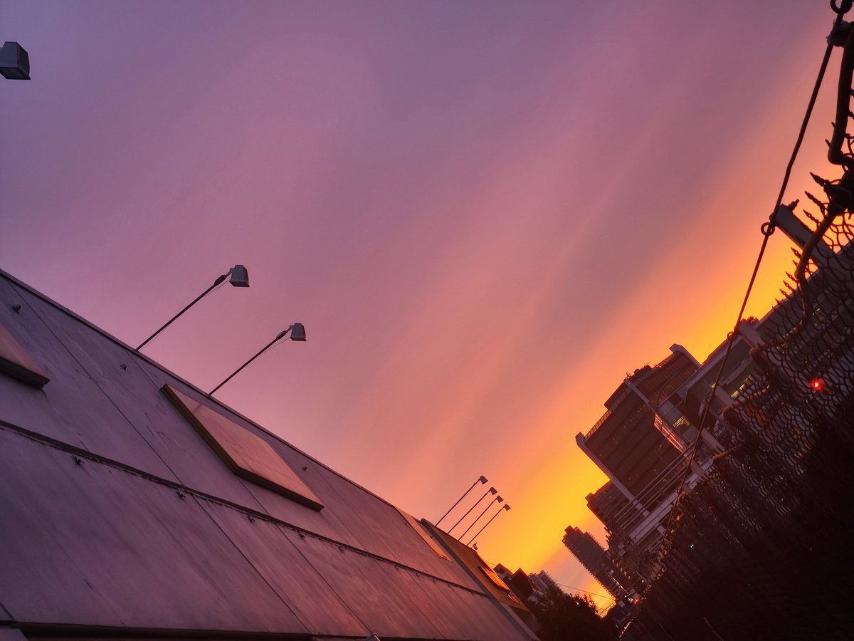 mama bear🗑 🦝 🏳️‍🌈 tweet media