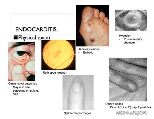 حَكيم tweet media