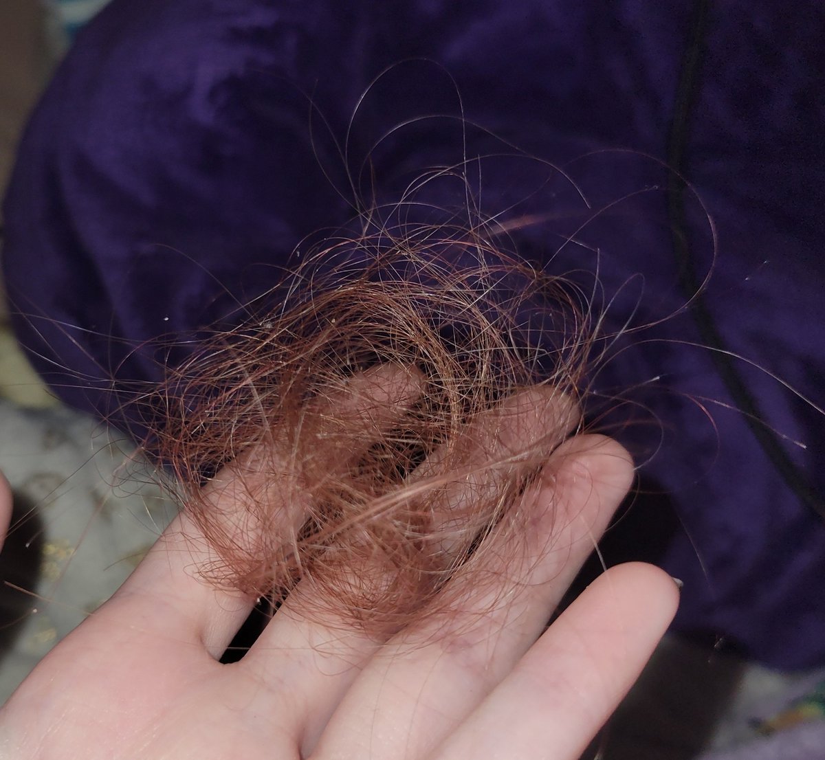 Fem Dazai of shedtwt tweet media