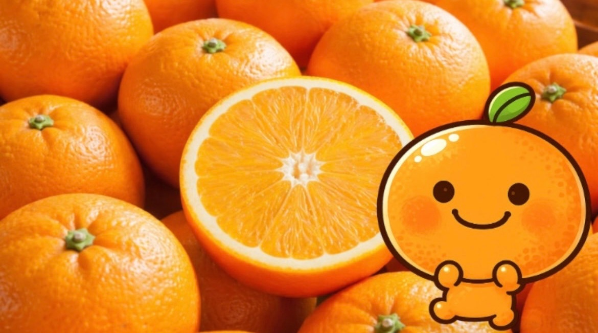 ネーブルオレンジ専門店公式 tweet media