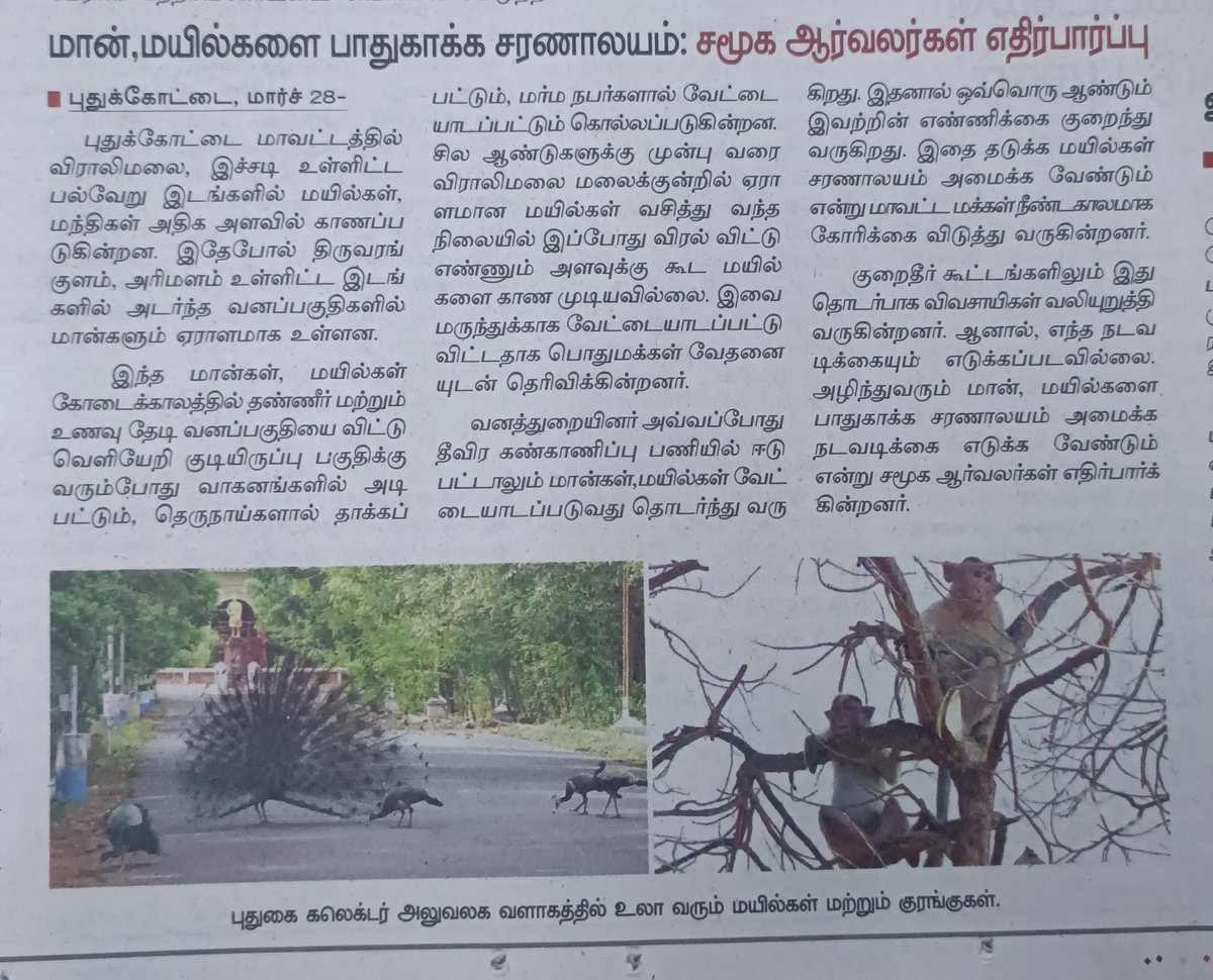 Pradeep kumar tweet media