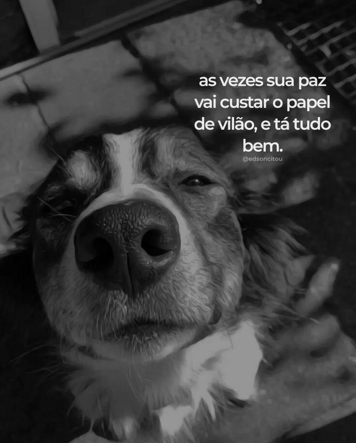 Frases (@inspireipoesia) on Twitter photo 