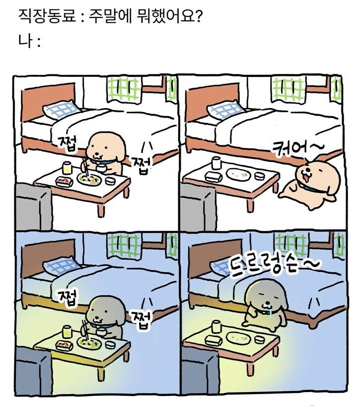 집밥채채🏠 tweet media