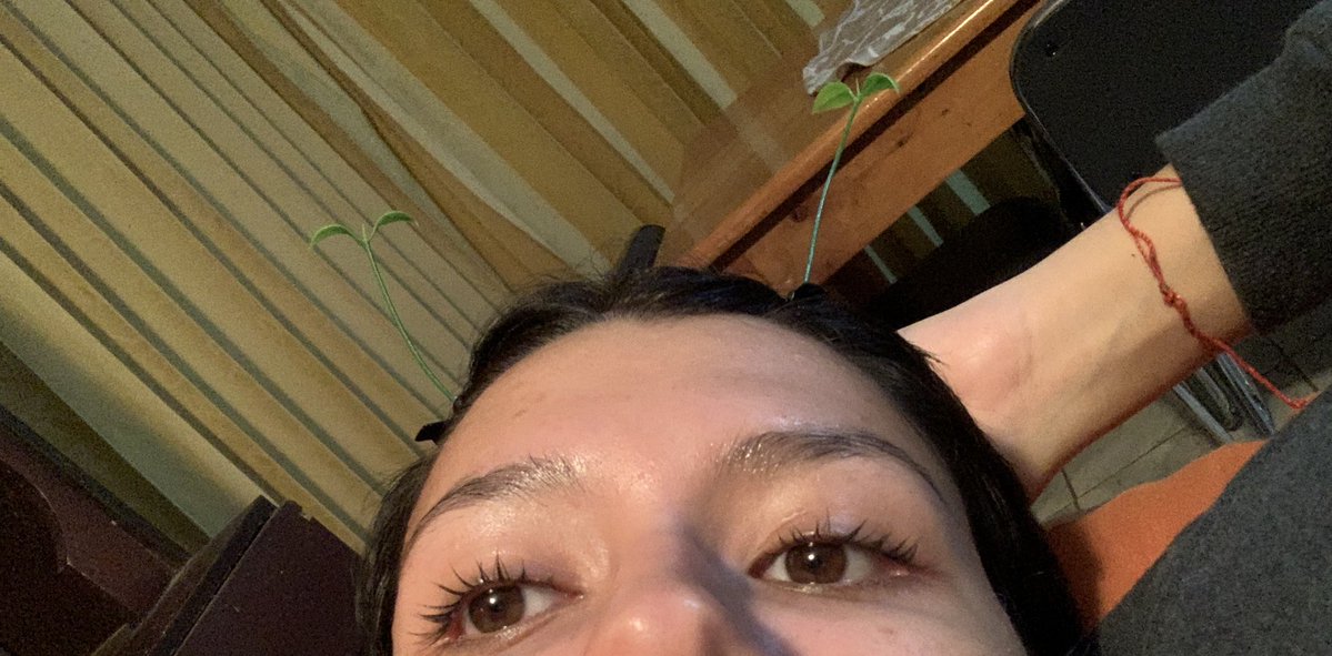 Tamiiiii tweet media