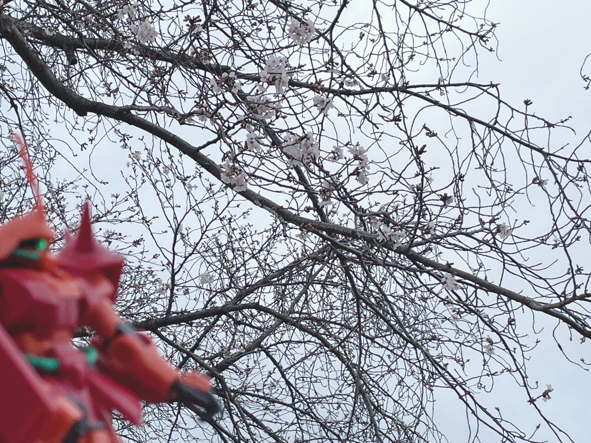 みりてぃ🎀🌸Vtuber! tweet media