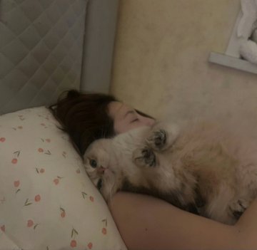 没有鱼 tweet media