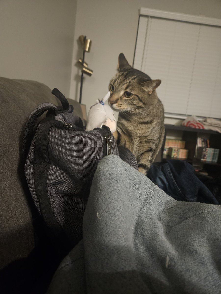 MACHOGOSAVAGE Pro Wrestler Vtuber tweet media