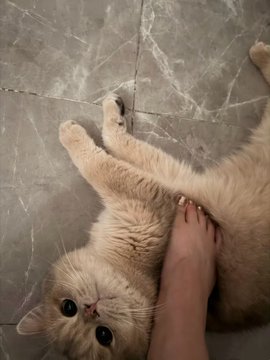 没有鱼 tweet media