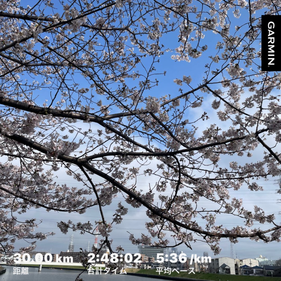 しん@4/11 彩湖ウルトラ60K tweet media