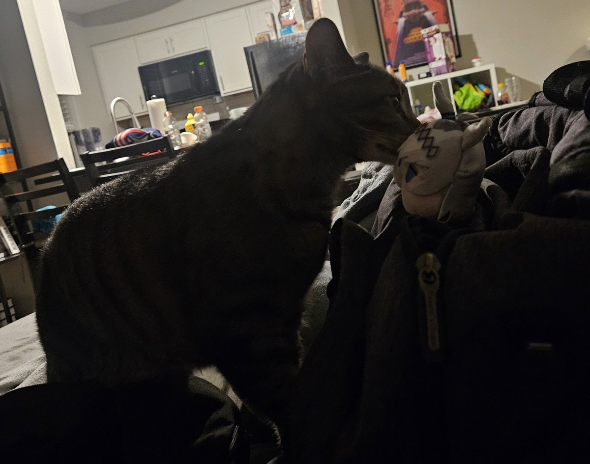 MACHOGOSAVAGE Pro Wrestler Vtuber tweet media