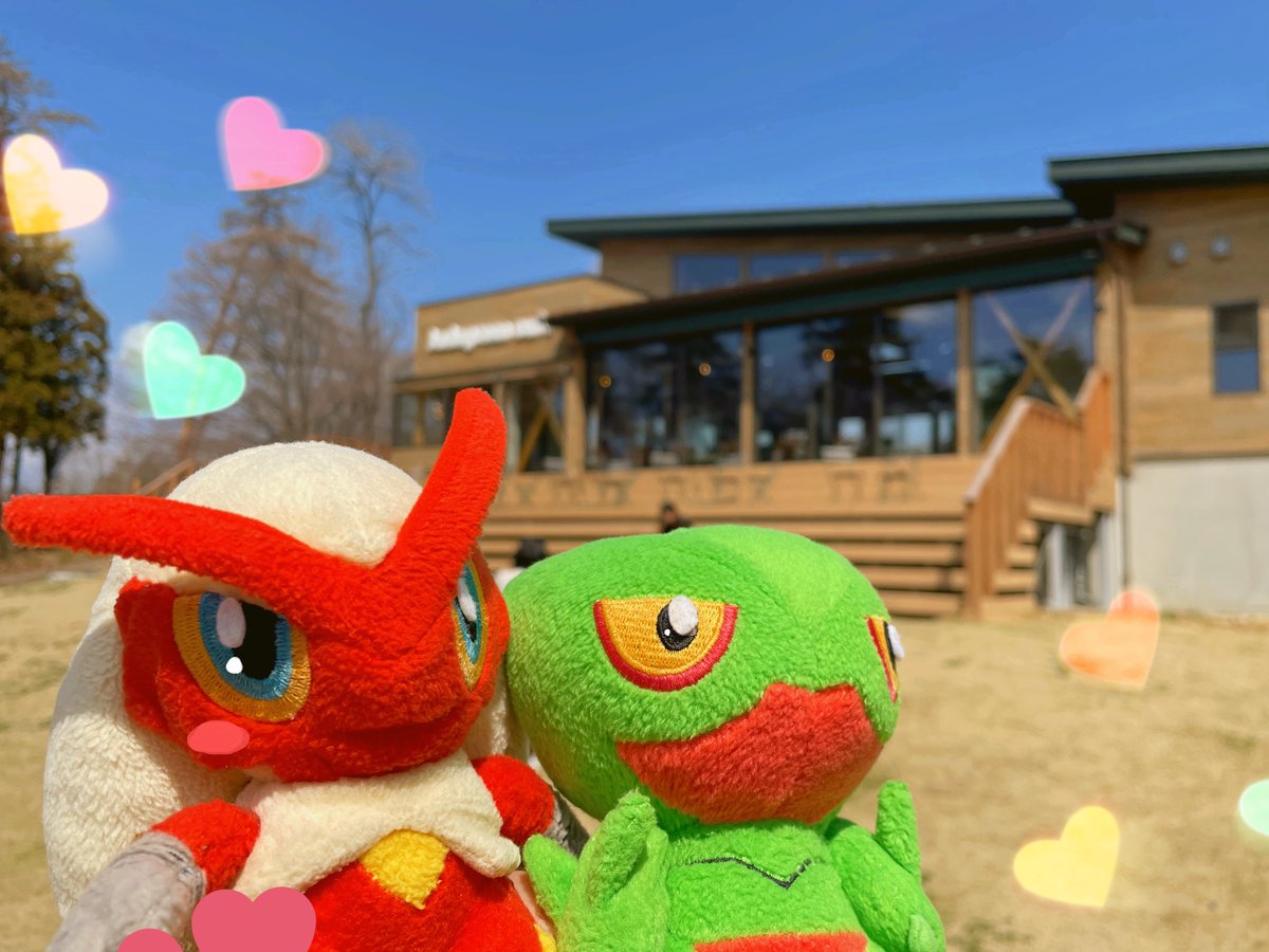 キキ♡❪kiki❫ tweet media