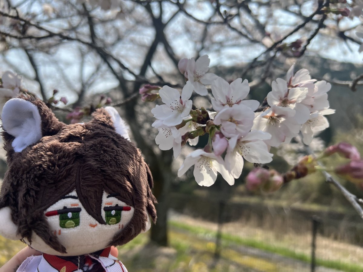 中の人 tweet media