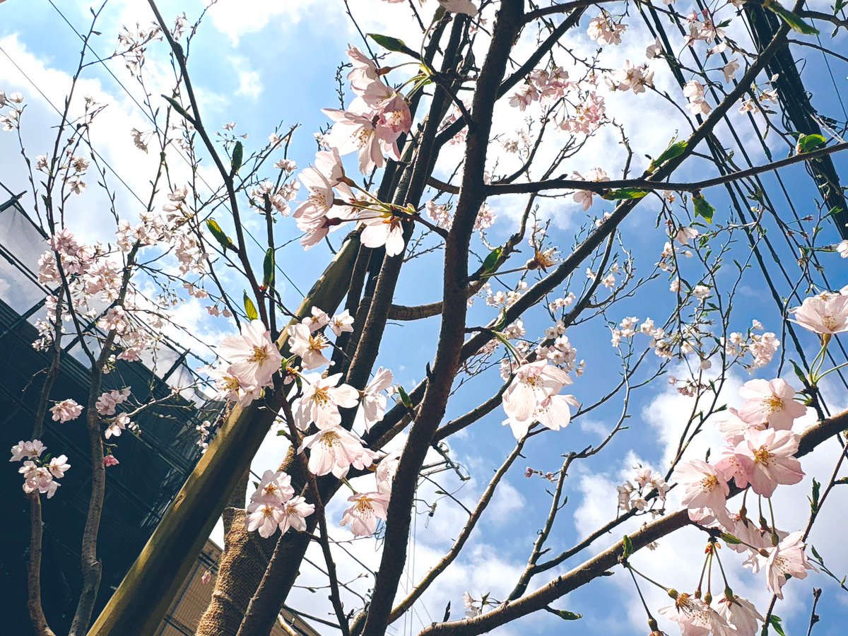 りなち tweet media