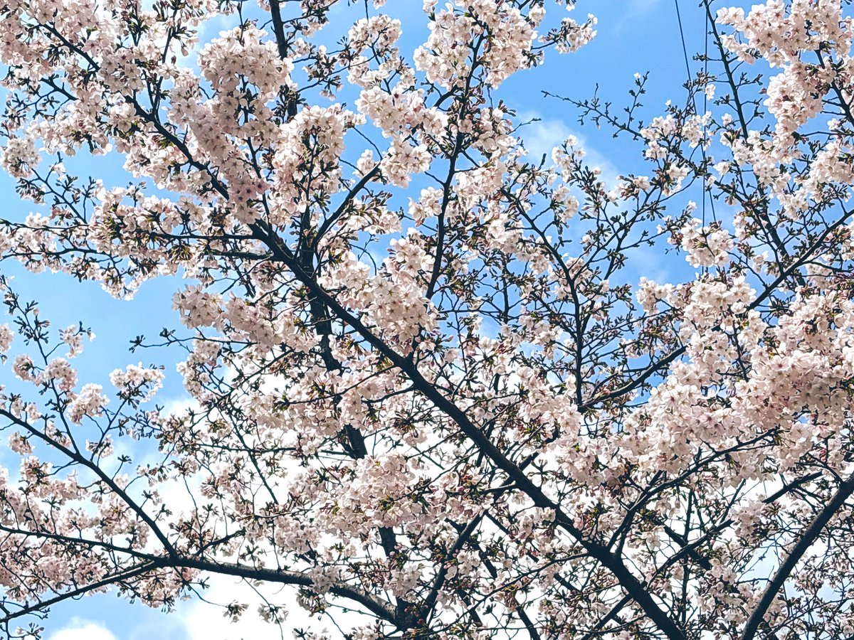 りなち tweet media