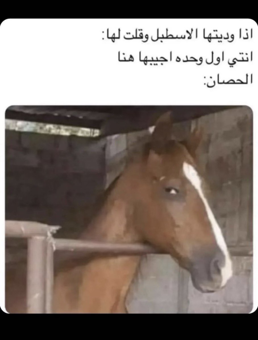 ‏ذكيرر🖤 tweet media