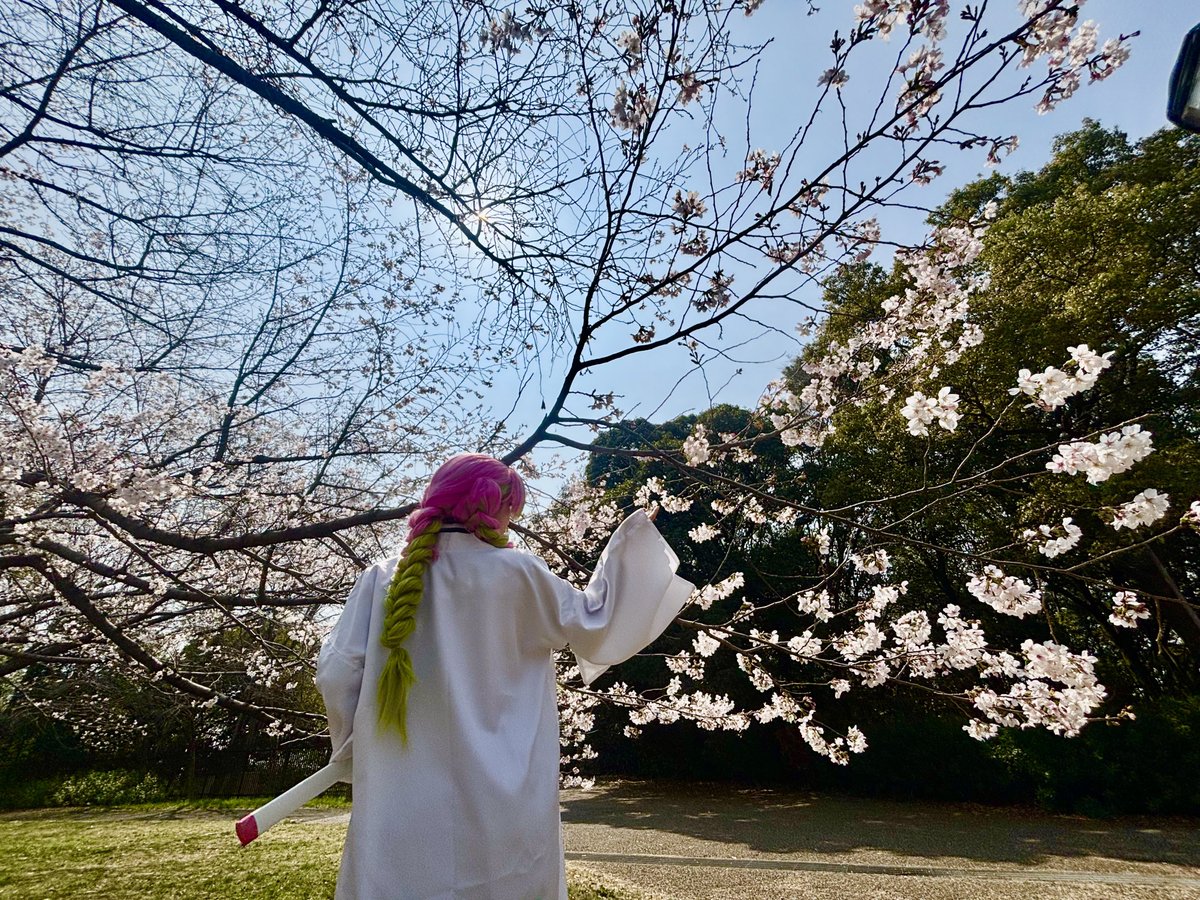 お茶ぁ📷´- tweet media