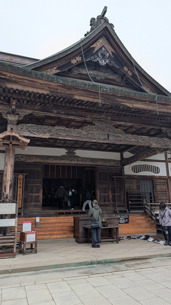 原子心鯔 tweet media