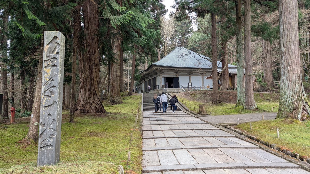 原子心鯔 tweet media