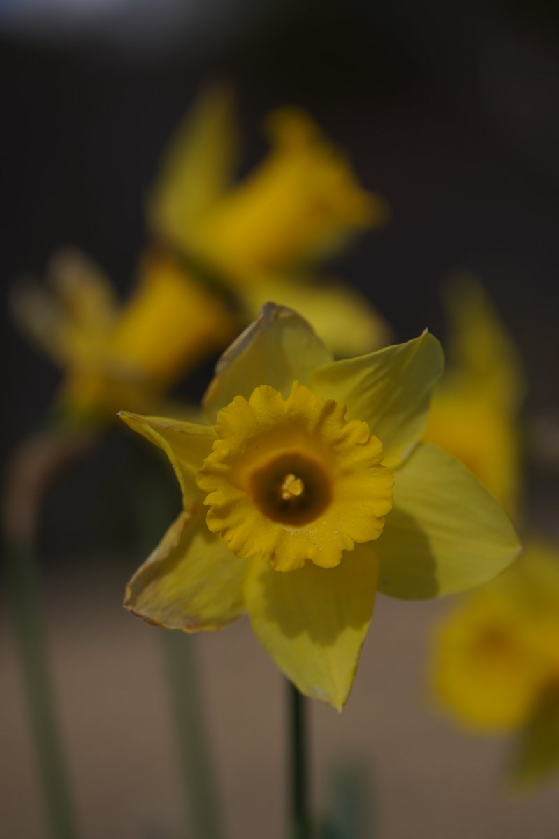 jerritama🐈🐟🐈 tweet media