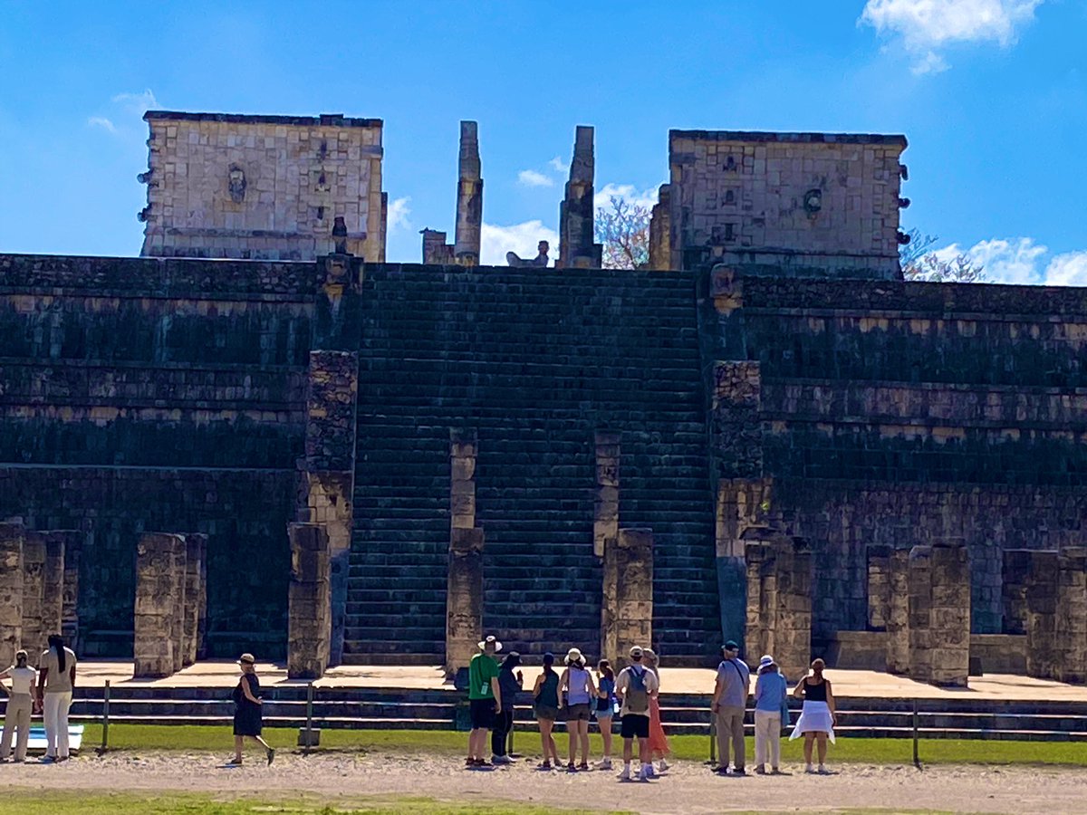 どくとるもなど tweet media