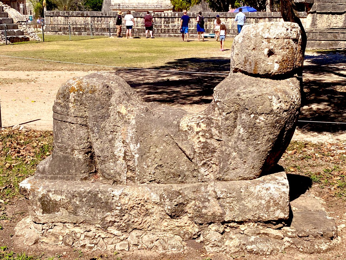 どくとるもなど tweet media