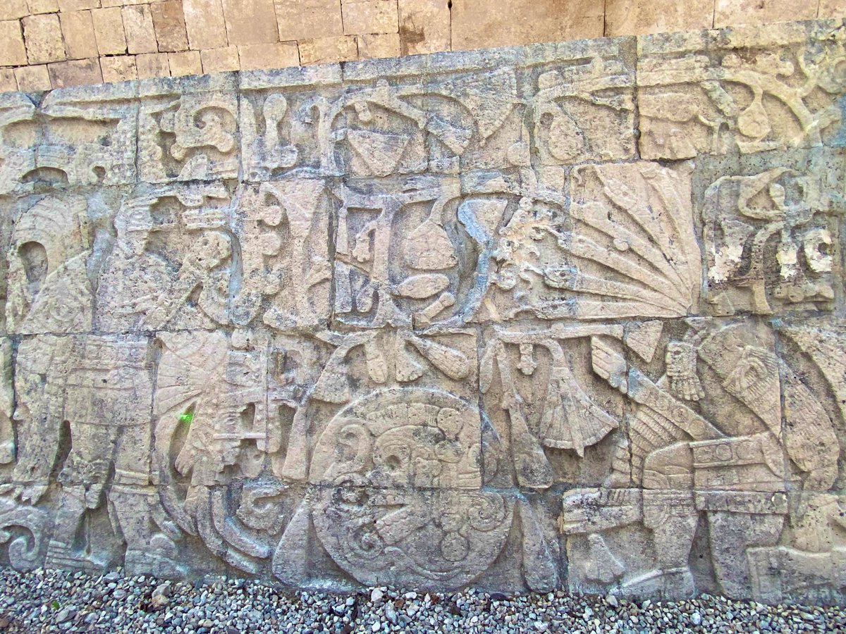 どくとるもなど tweet media