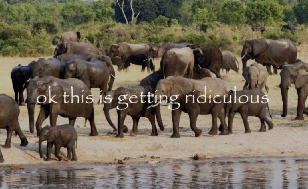 Woke builderfan tweet media