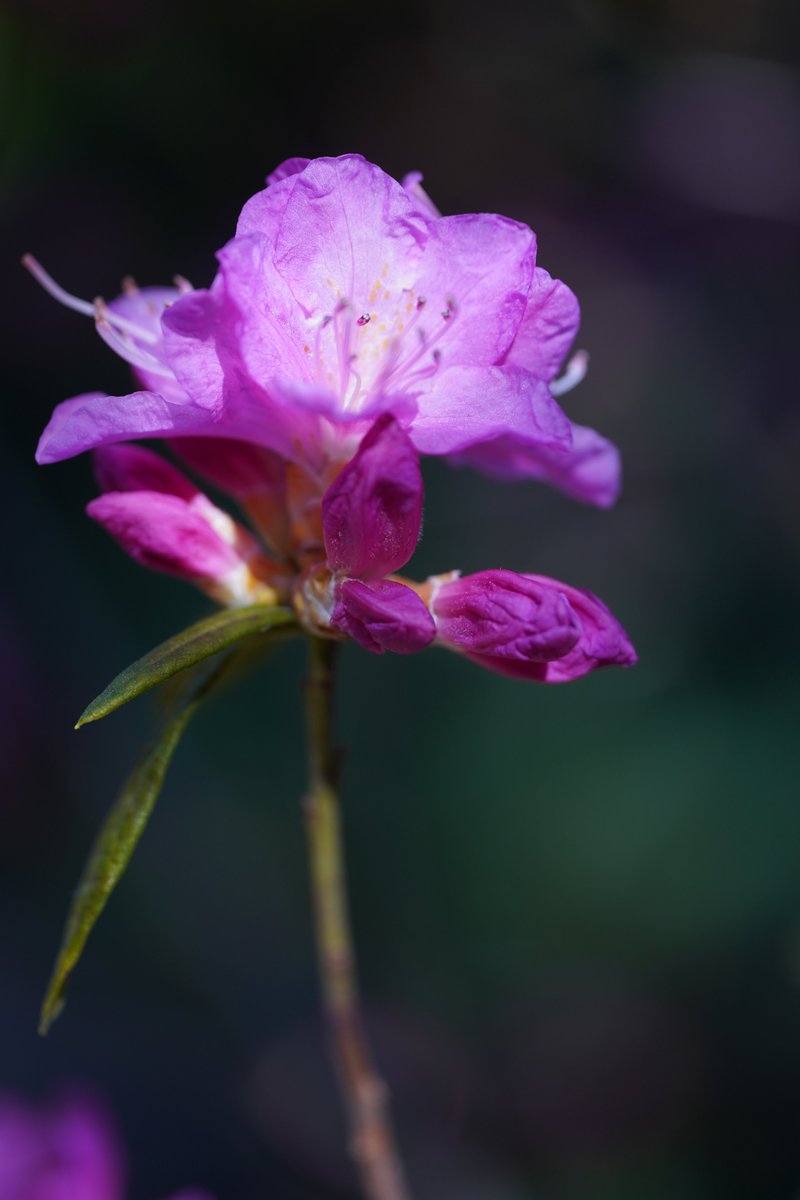 jerritama🐈🐟🐈 tweet media