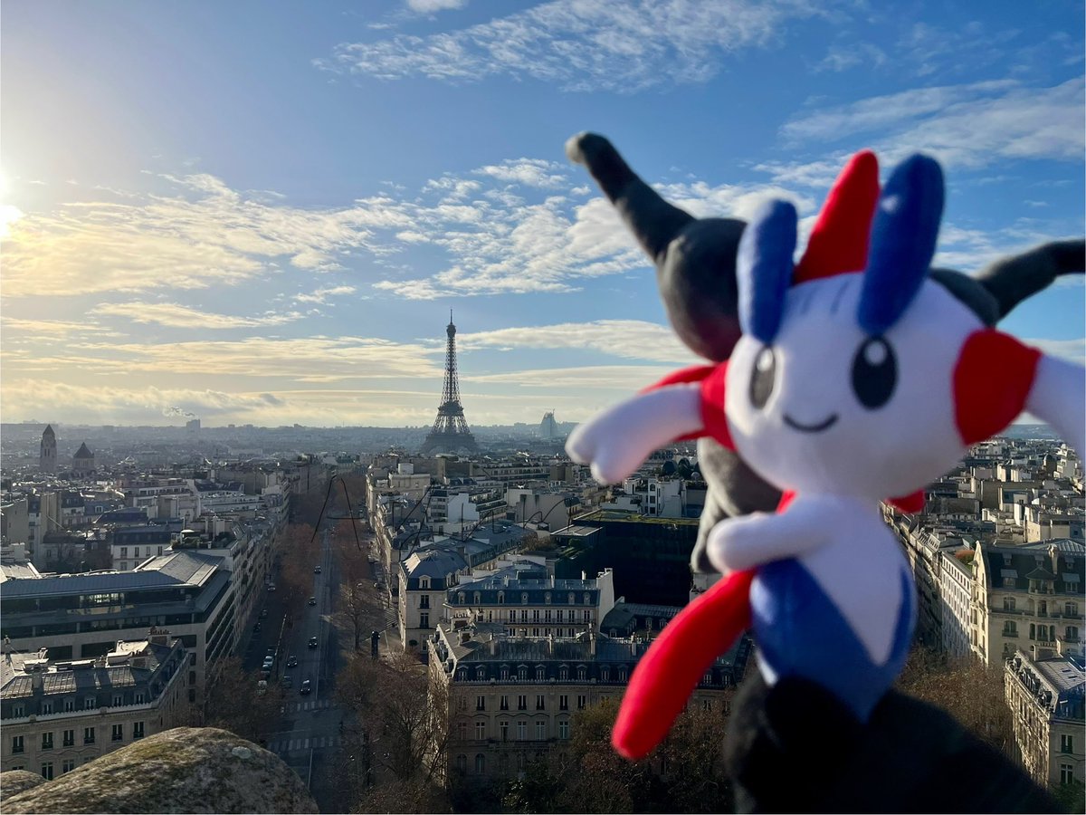 旅&ポケモン✈️あゆむ tweet media