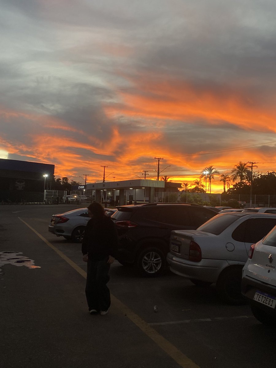 kio⁷ 🦕 tweet media