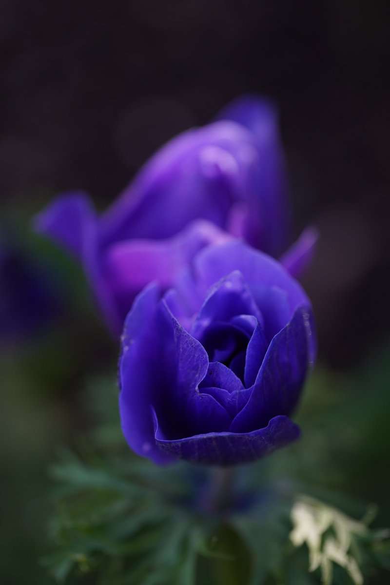 jerritama🐈🐟🐈 tweet media