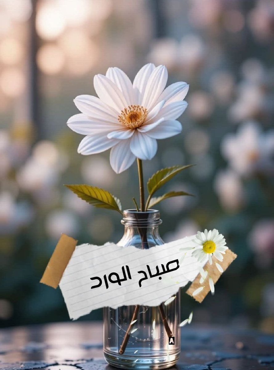 الحياة امل🌷7anen alroo7 tweet media